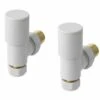 Eastbrook Angled Radiator Valves - Matt White - Pair -Perfect Finish 41 2.3011