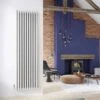 DQ Bosun Single 1800 X 500 Vertical Radiator White -Perfect Finish Bosun setting image White 1