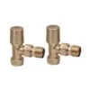 Scudo Brushed Brass Angled Radaitor Valves 1 Scudo Brushed Brass Angled Radaitor Valves -Perfect Finish TRV008